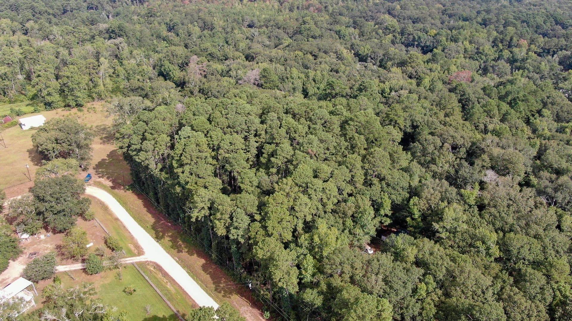 2 acres in San Jacinto County - photo 16