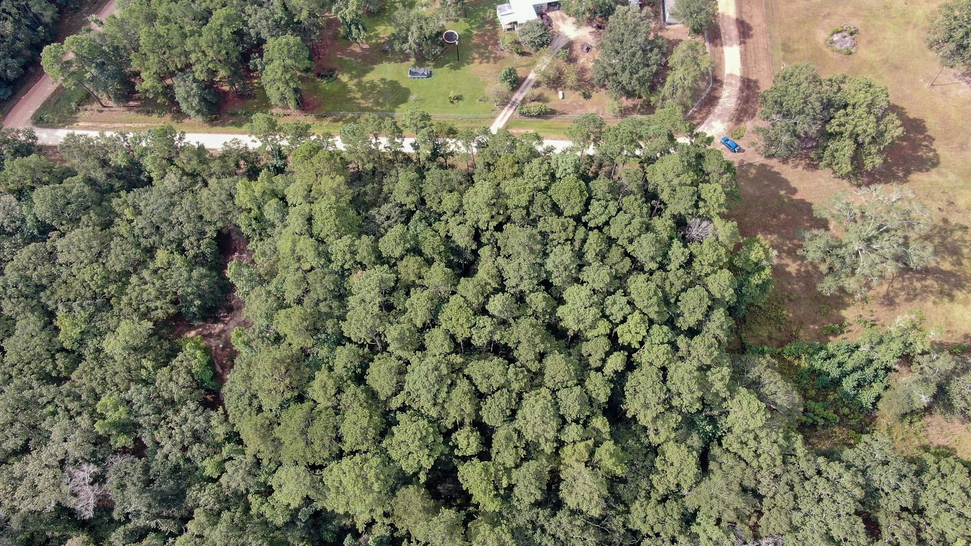 2 acres in San Jacinto County - photo 13