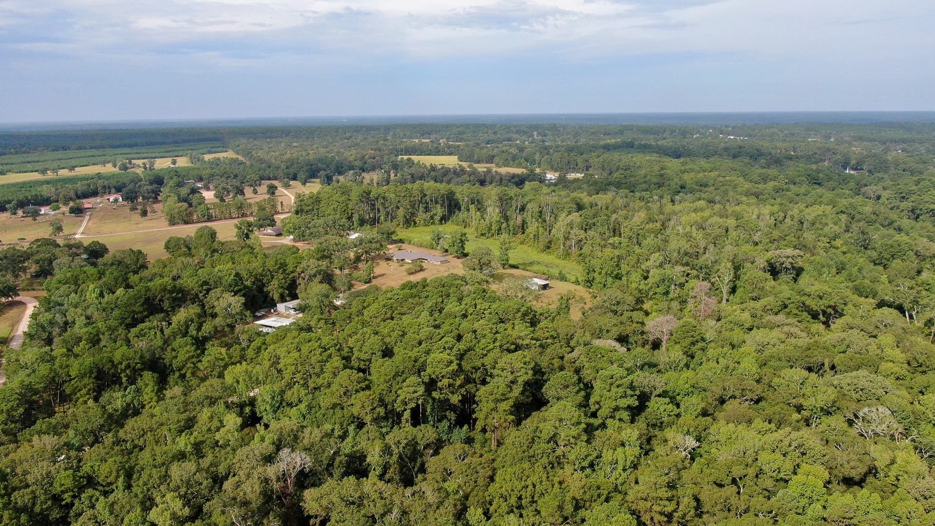 2 acres in San Jacinto County - photo 9