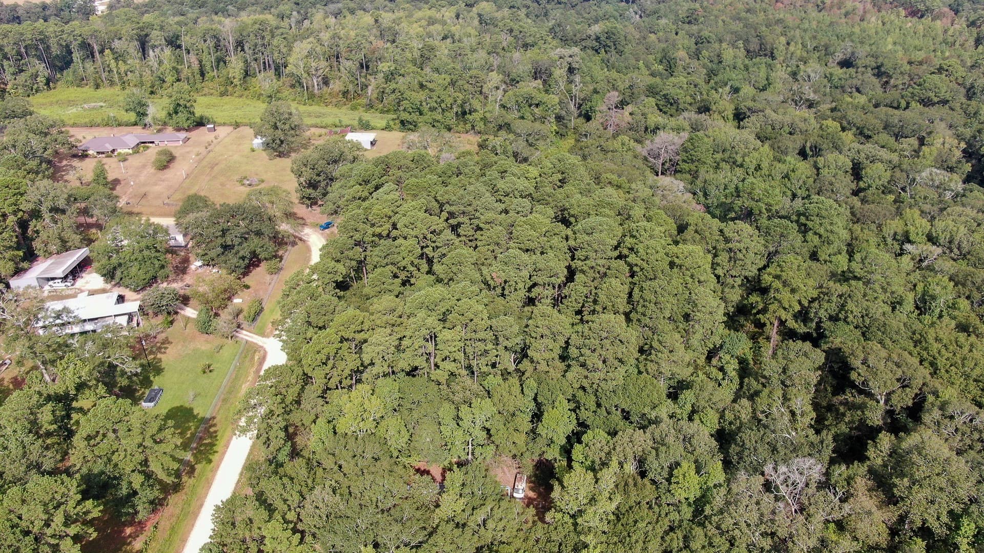 2 acres in San Jacinto County - photo 17