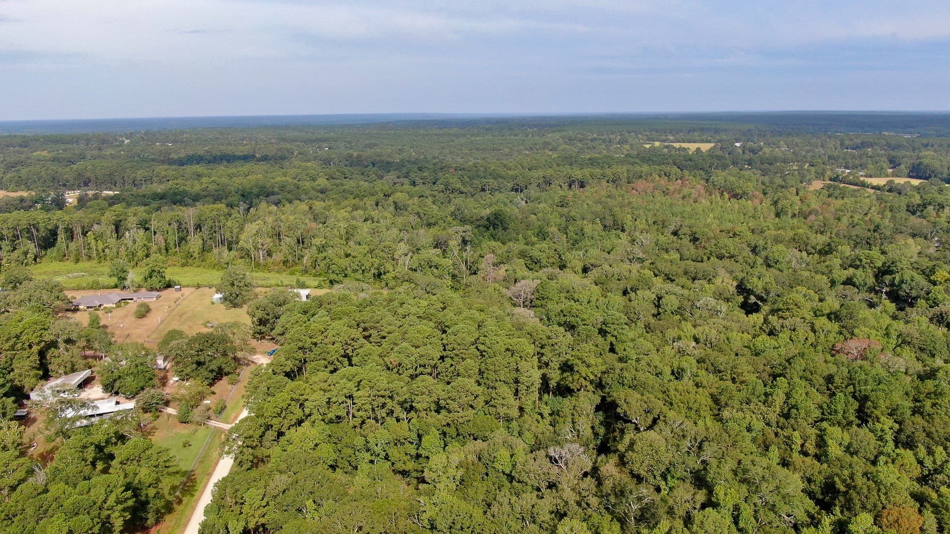 2 acres in San Jacinto County - photo 8