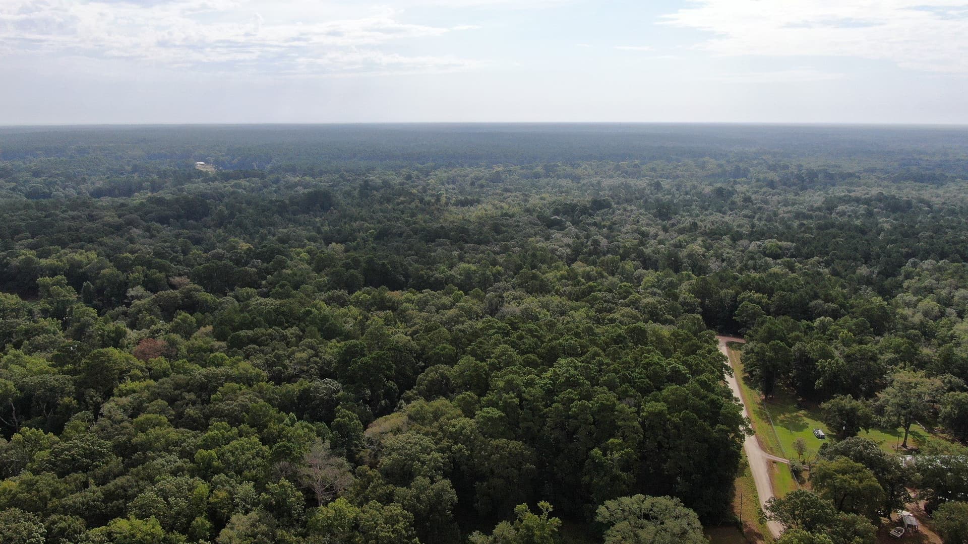 2 acres in San Jacinto County - photo 12