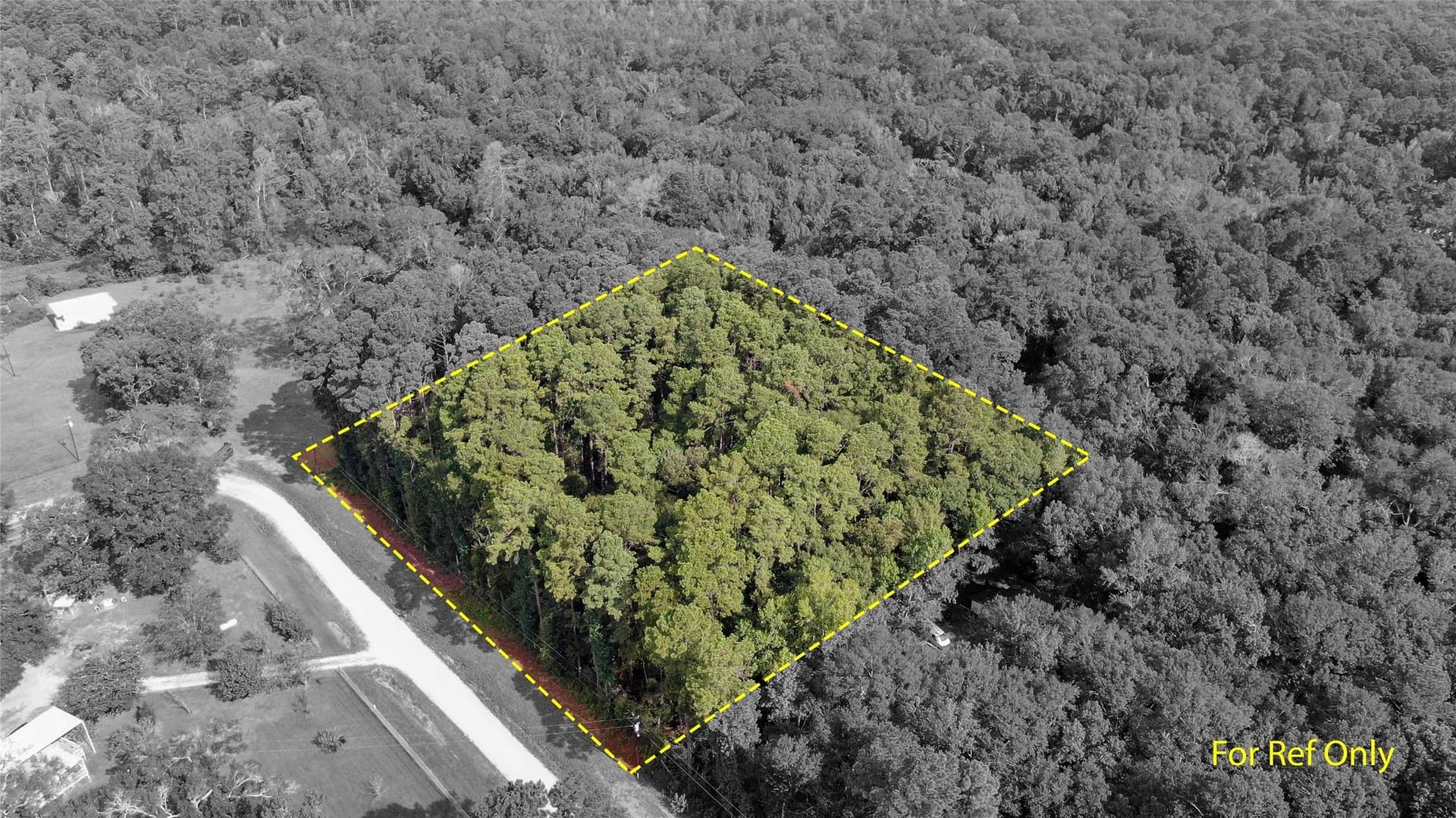 2 acres in San Jacinto County - photo 2