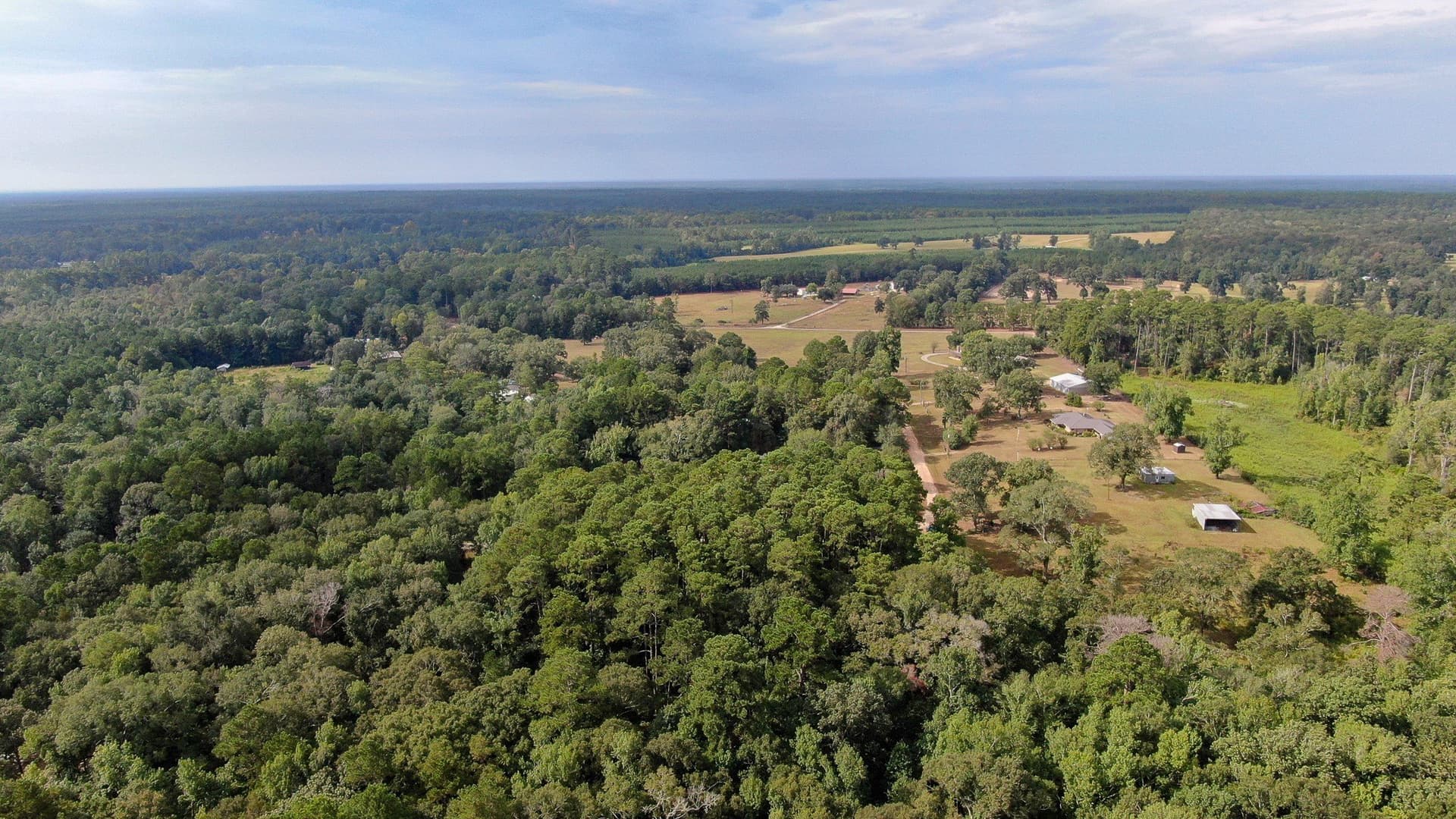 2 acres in San Jacinto County - photo 11