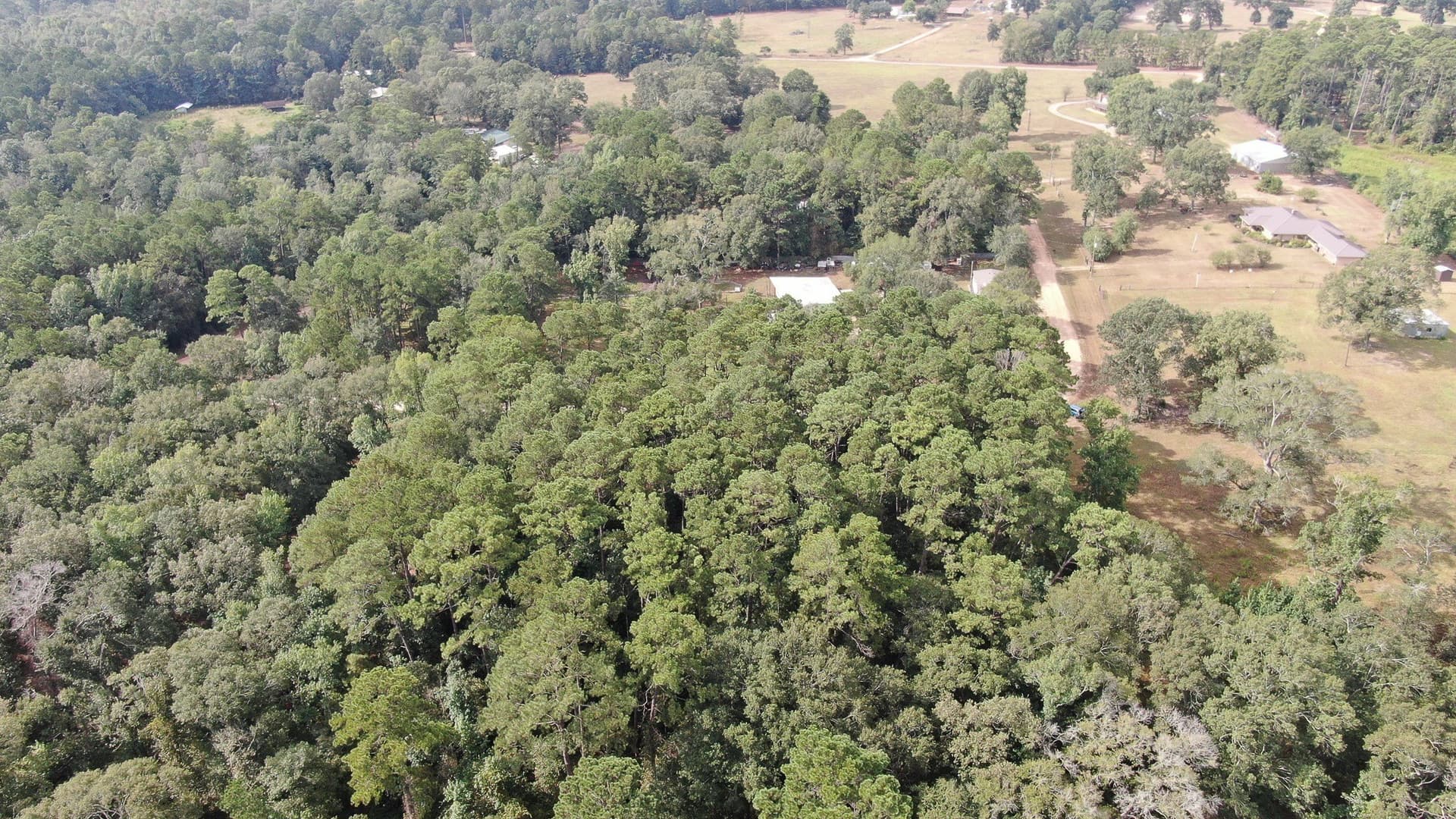 2 acres in San Jacinto County - photo 19