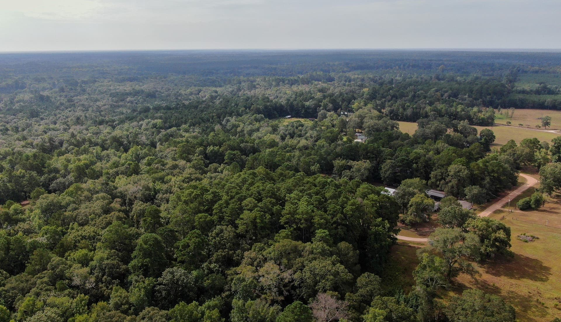 2 acres in San Jacinto County - photo 10