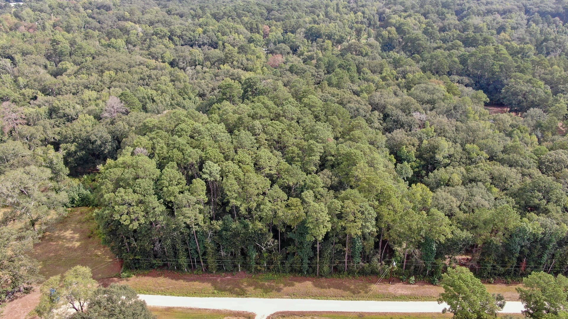 2 acres in San Jacinto County - photo 15