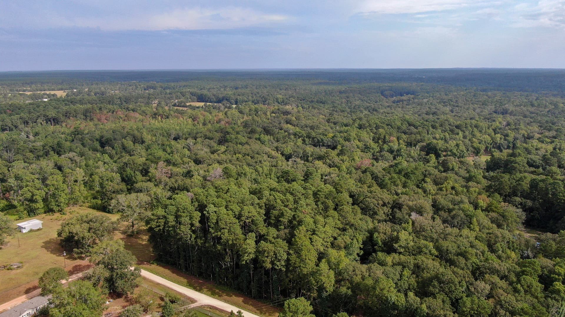 2 acres in San Jacinto County - photo 7