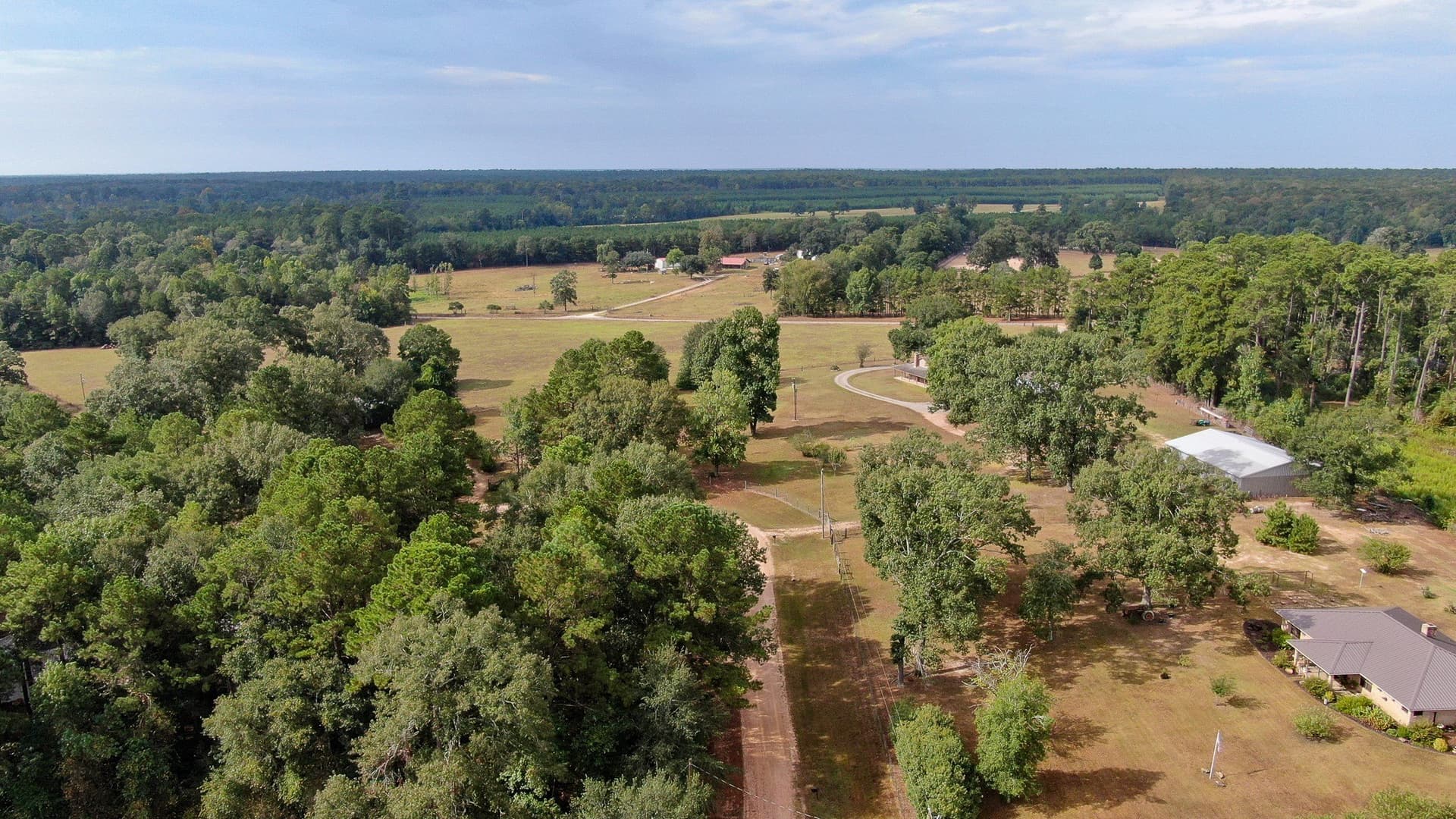 2 acres in San Jacinto County - photo 4
