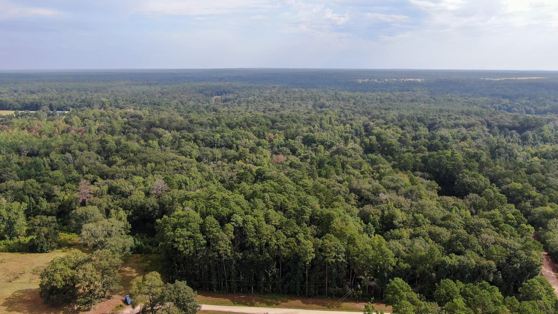 2 acres in San Jacinto County - photo 6