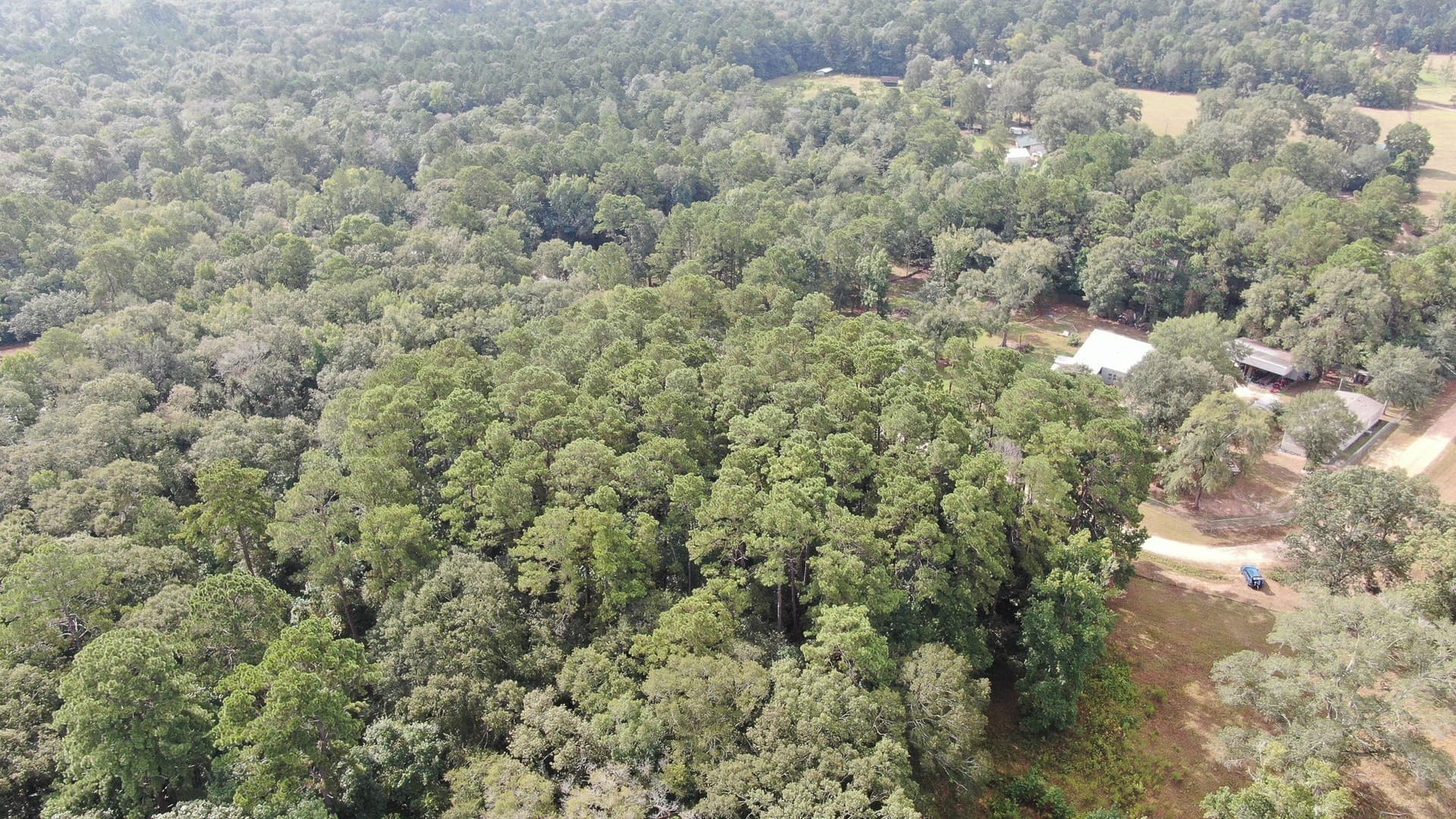 2 acres in San Jacinto County - photo 20