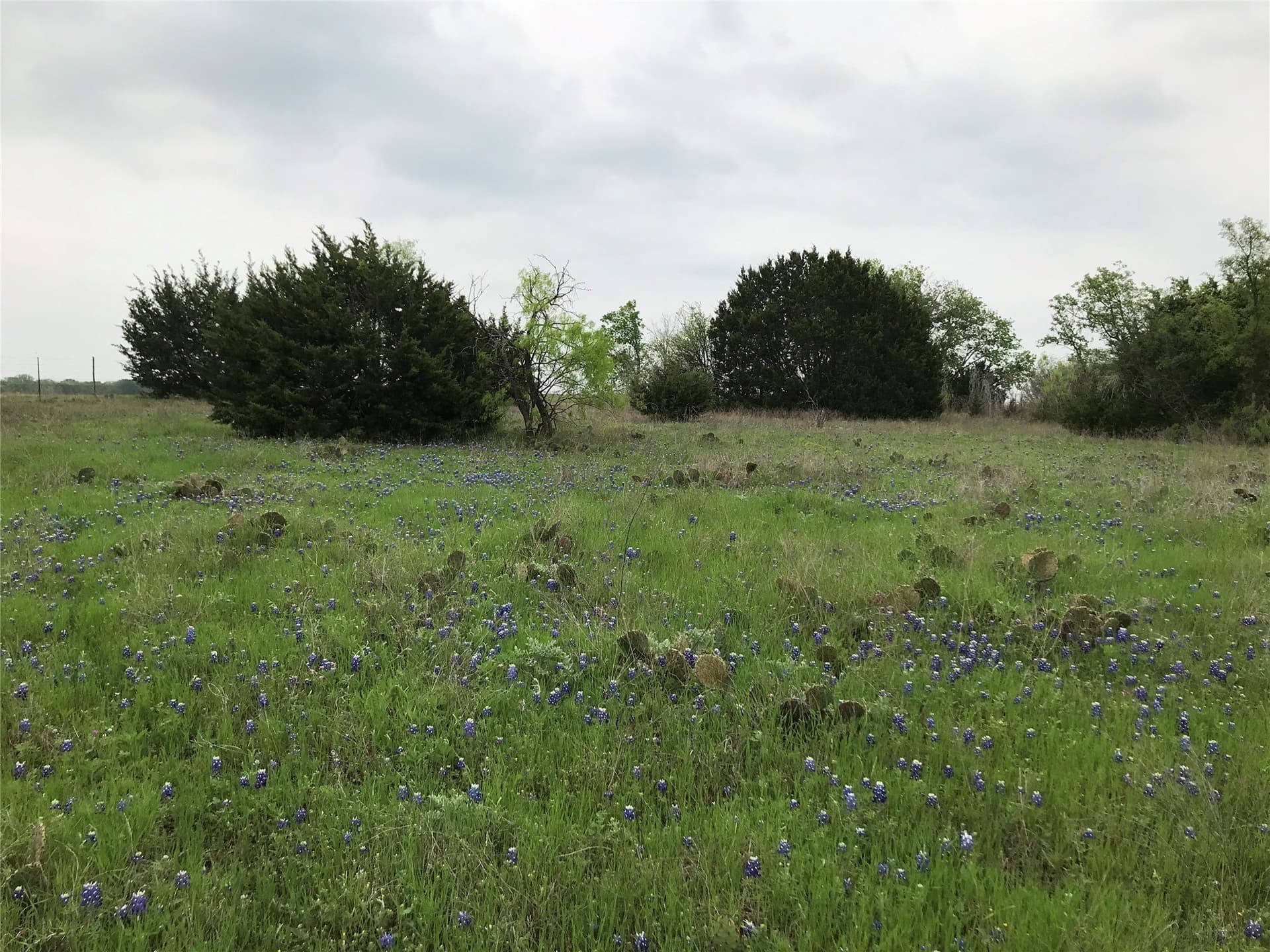 0.26 acres in Hill County featured view