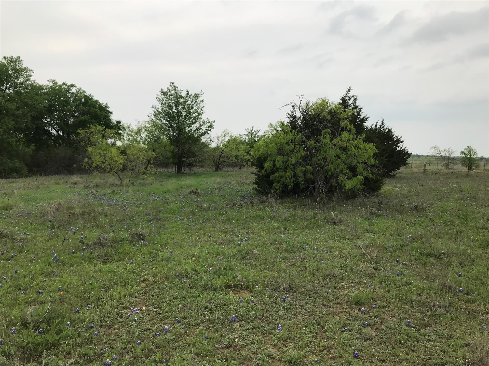 0.26 acres in Hill County - photo 10