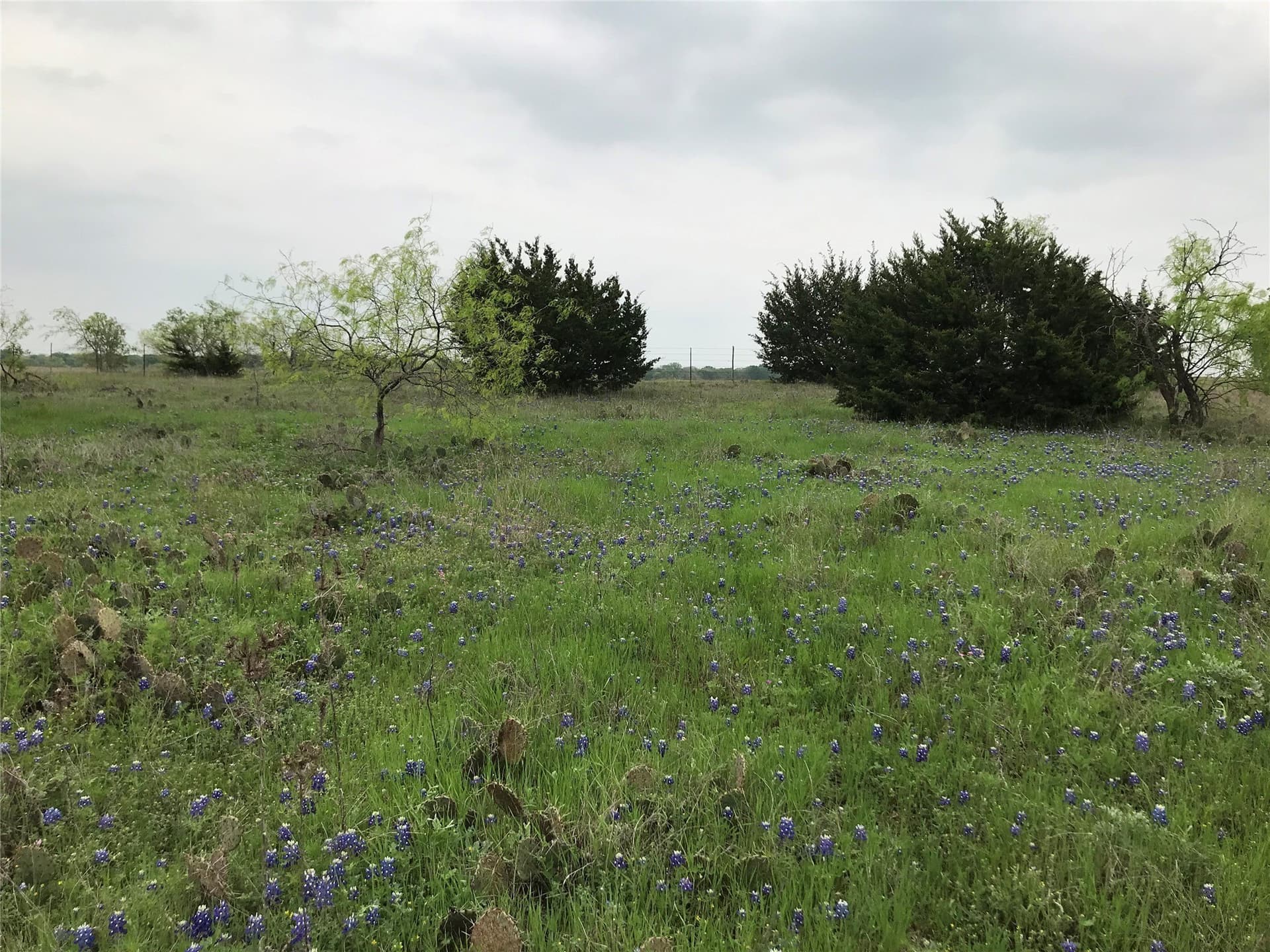 0.26 acres in Hill County gallery image 4