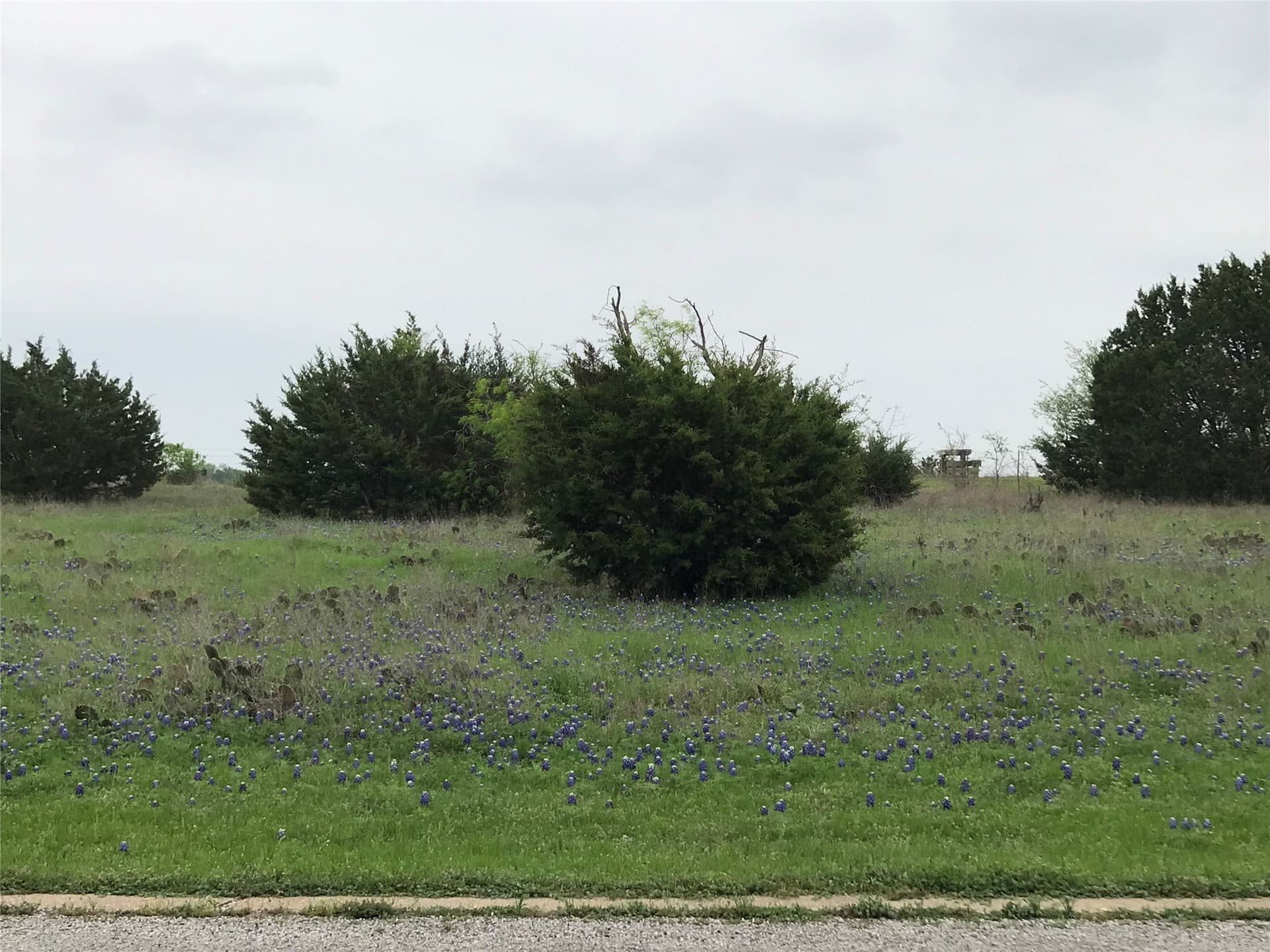 0.26 acres in Hill County - photo 12
