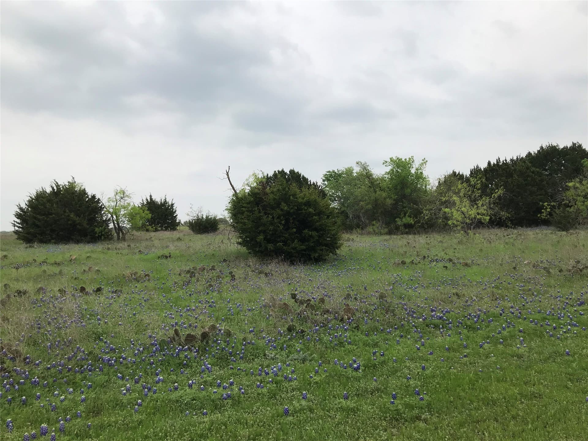 0.26 acres in Hill County gallery image 3