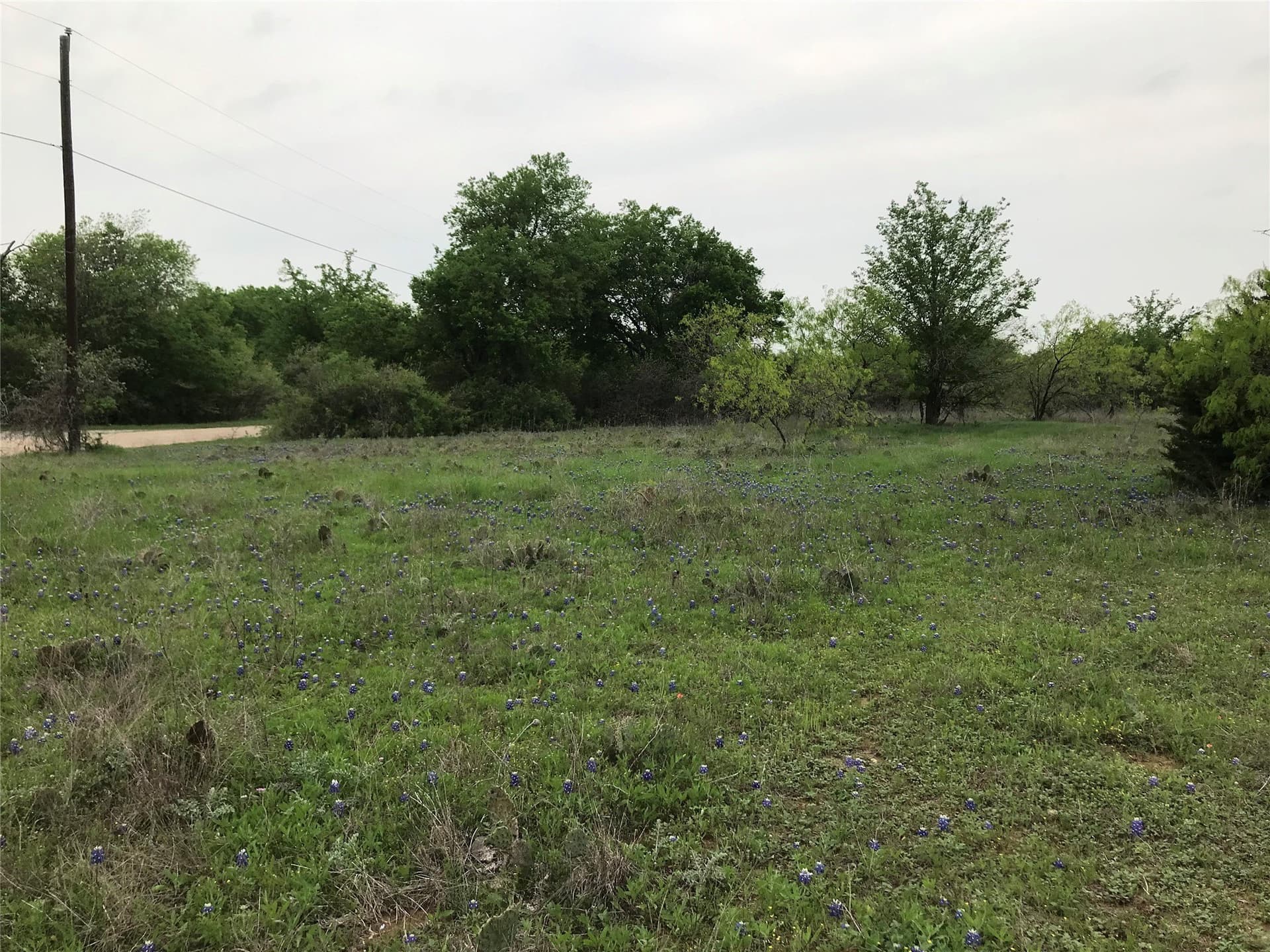 0.26 acres in Hill County - photo 11