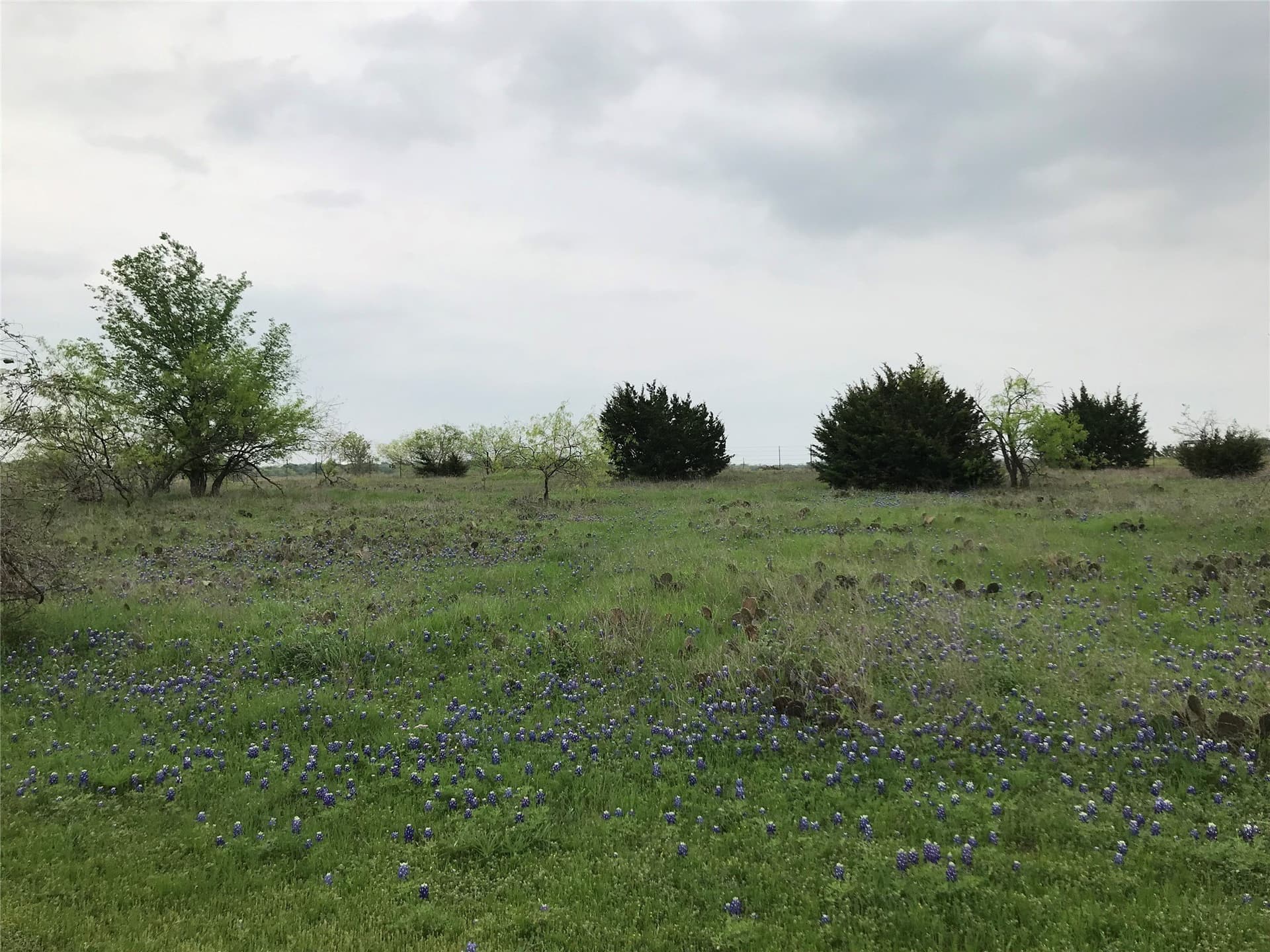 0.26 acres in Hill County gallery image 2