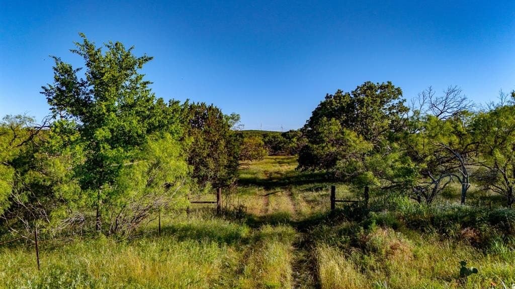 156.43 acres in Jack County gallery image 2
