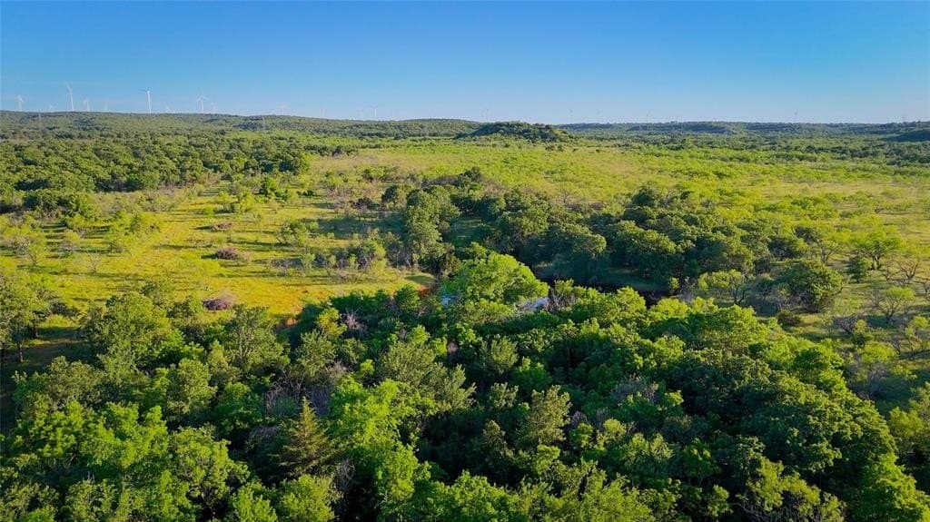 156.43 acres in Jack County gallery image 3