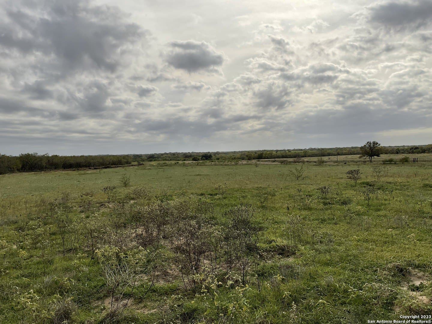 1.37 acres in Atascosa County gallery image 4