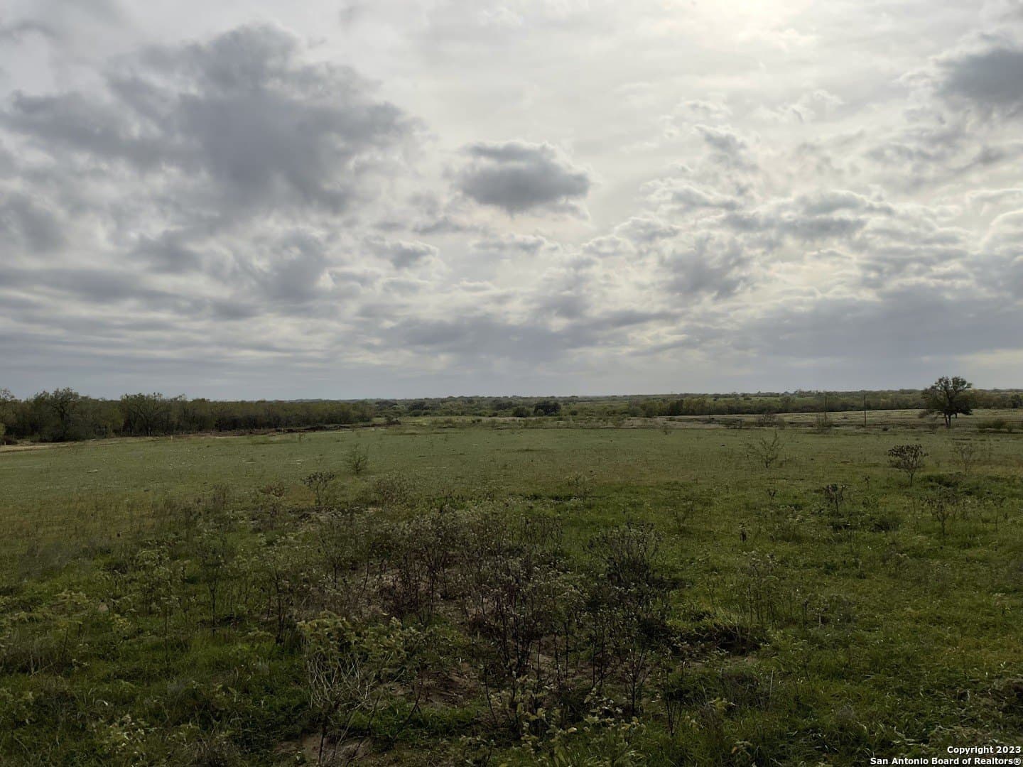 1.37 acres in Atascosa County gallery image 3