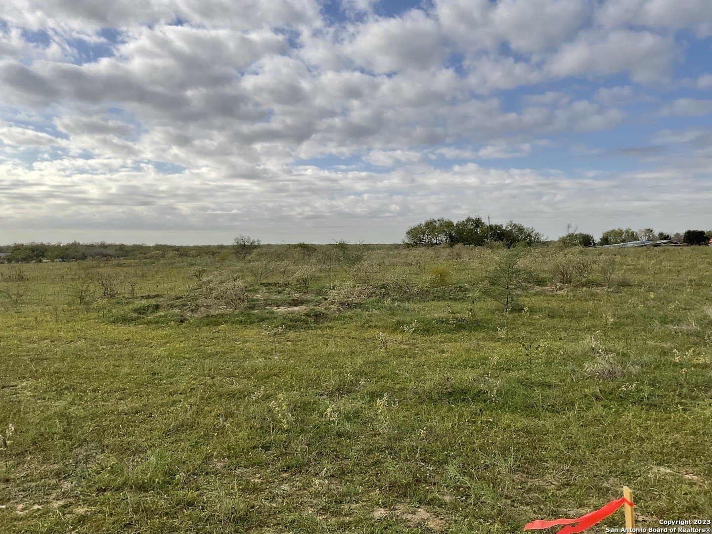 1.37 acres in Atascosa County gallery image 2