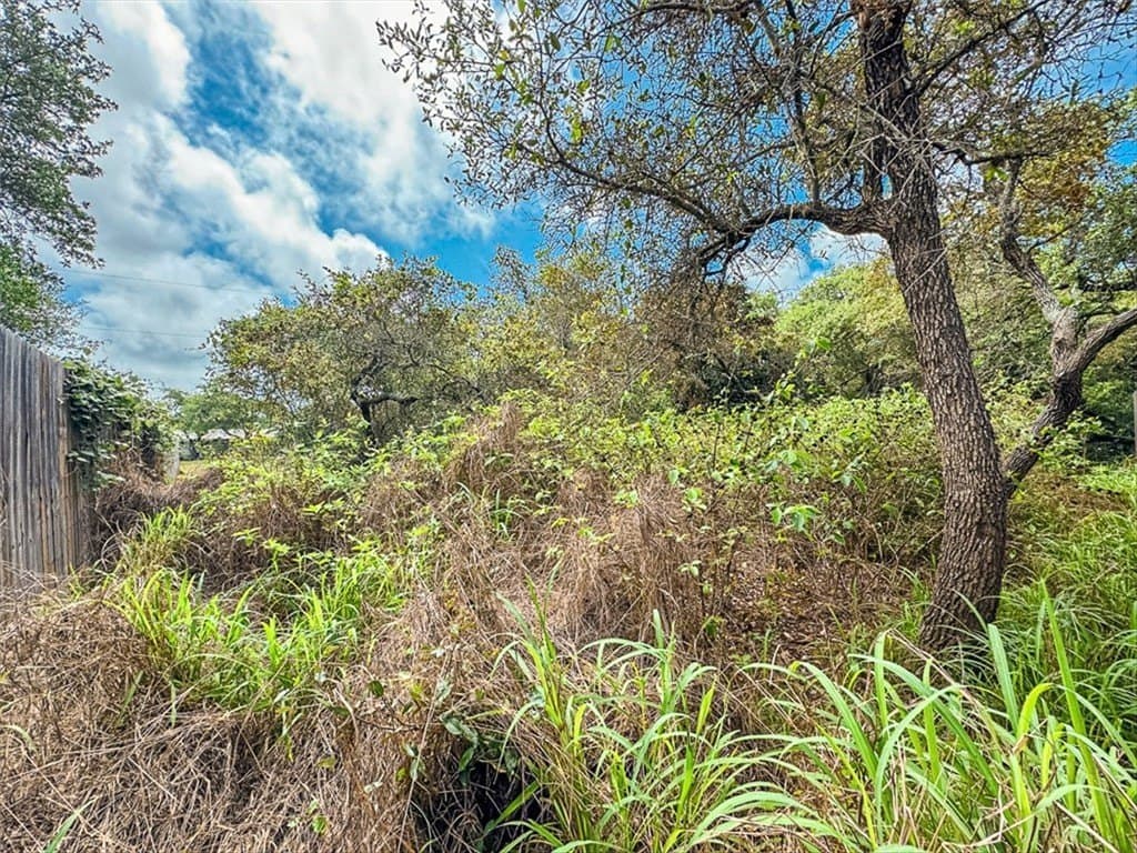 0.22 acres in San Patricio County - photo 6