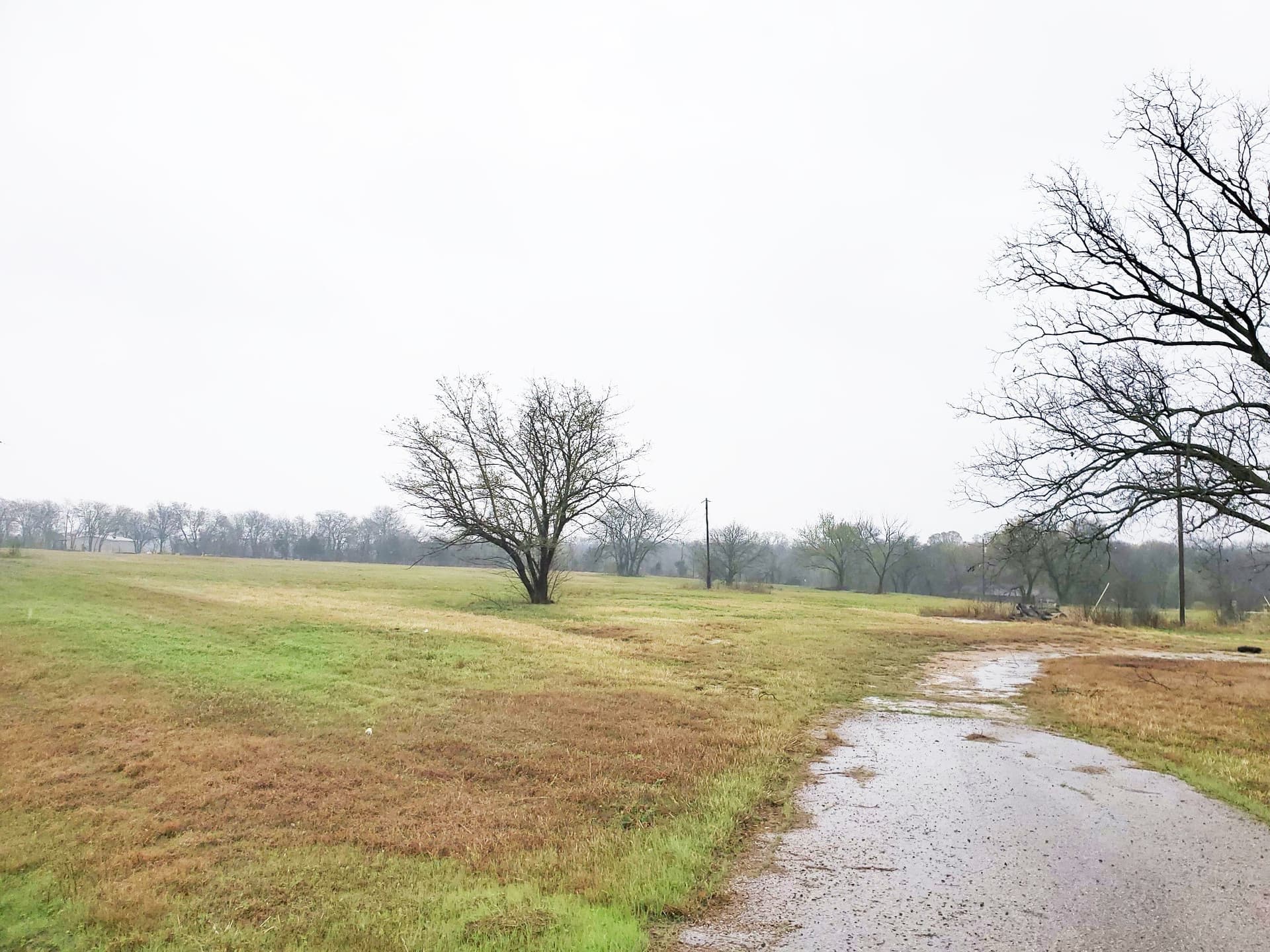 7.42 acres in Ellis County - photo 6