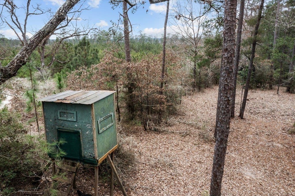 210 acres in Texas County - photo 6