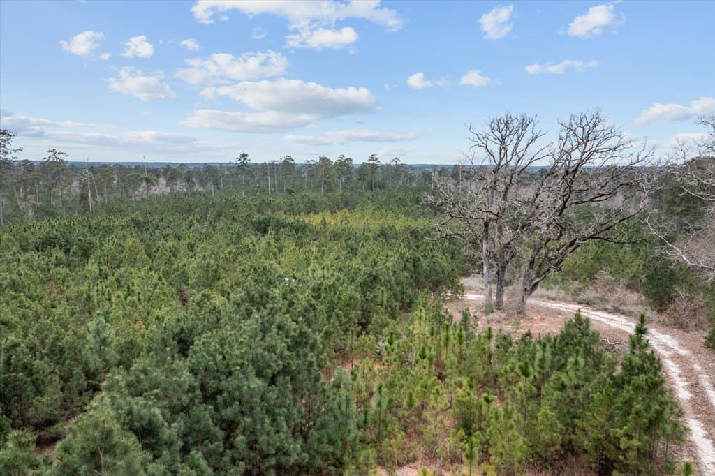210 acres in Texas County - photo 18