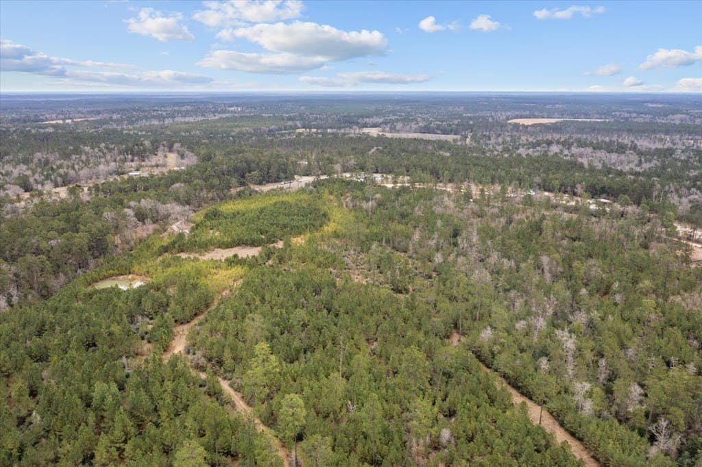 210 acres in Texas County - photo 14