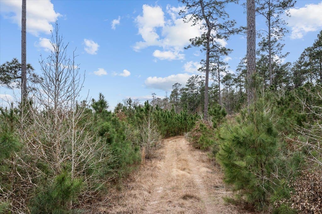 210 acres in Texas County - photo 28