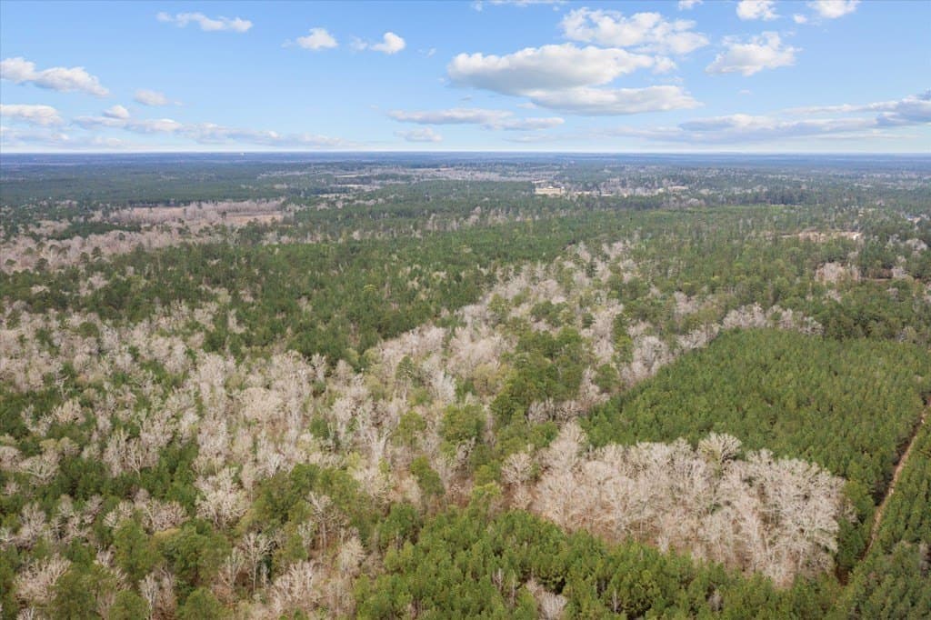 210 acres in Texas County - photo 23