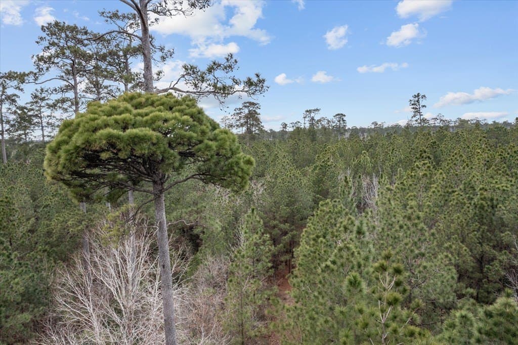 210 acres in Texas County - photo 25