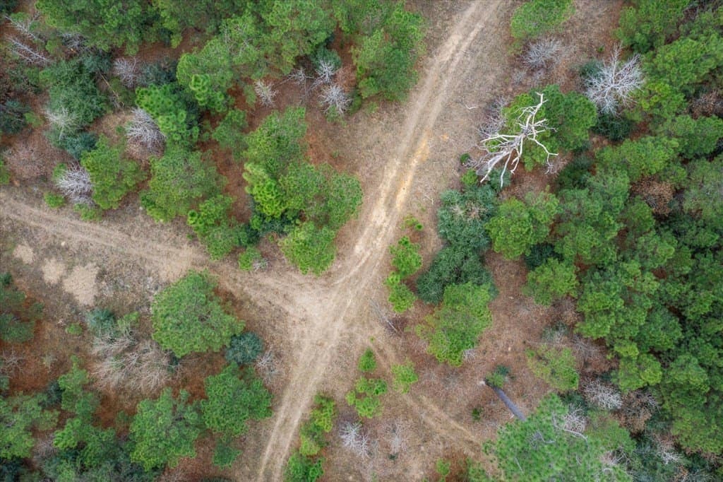 210 acres in Texas County - photo 26
