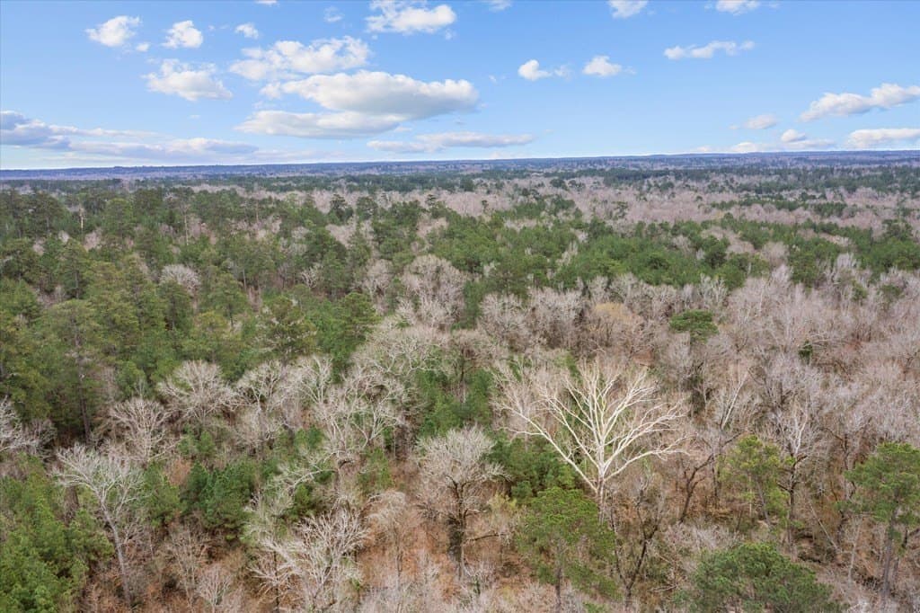 210 acres in Texas County - photo 22