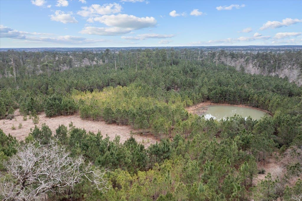 210 acres in Texas County - photo 11