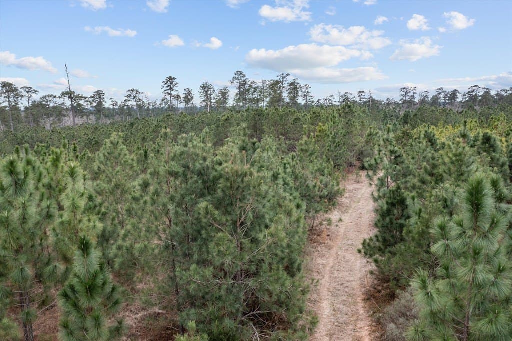 210 acres in Texas County - photo 19
