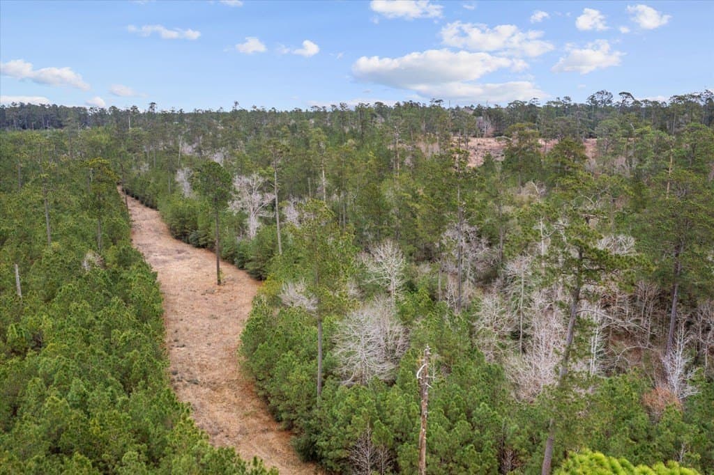 210 acres in Texas County - photo 27
