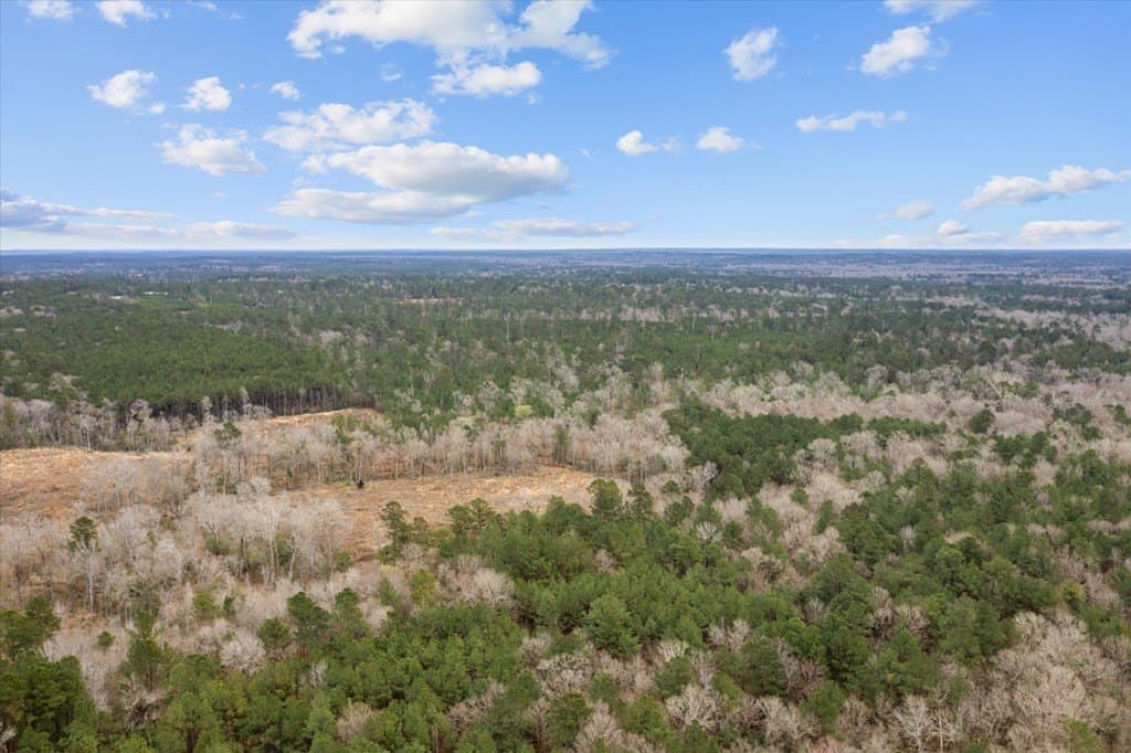 210 acres in Texas County - photo 20