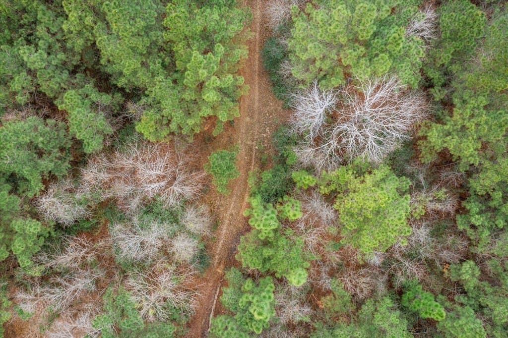210 acres in Texas County - photo 24