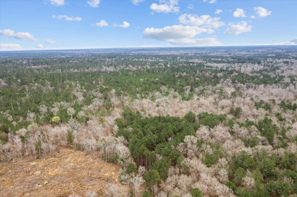 210 acres in Texas County - photo 21