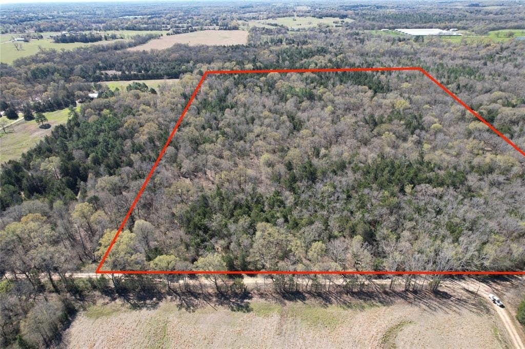 21.07 acres in Wood County gallery image 4