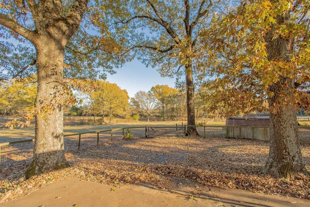 19.55 acres in Smith County - photo 8