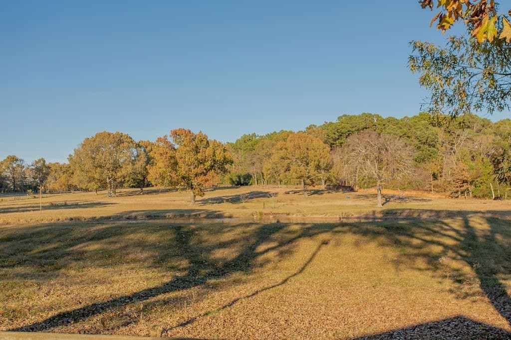 19.55 acres in Smith County - photo 6
