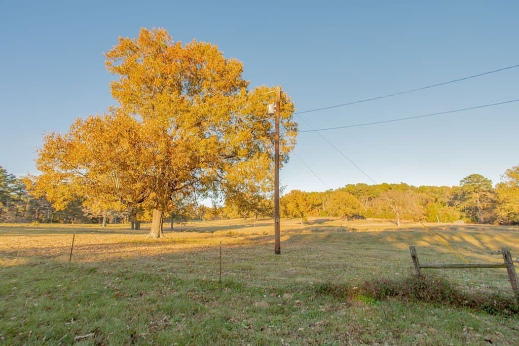 19.55 acres in Smith County - photo 38