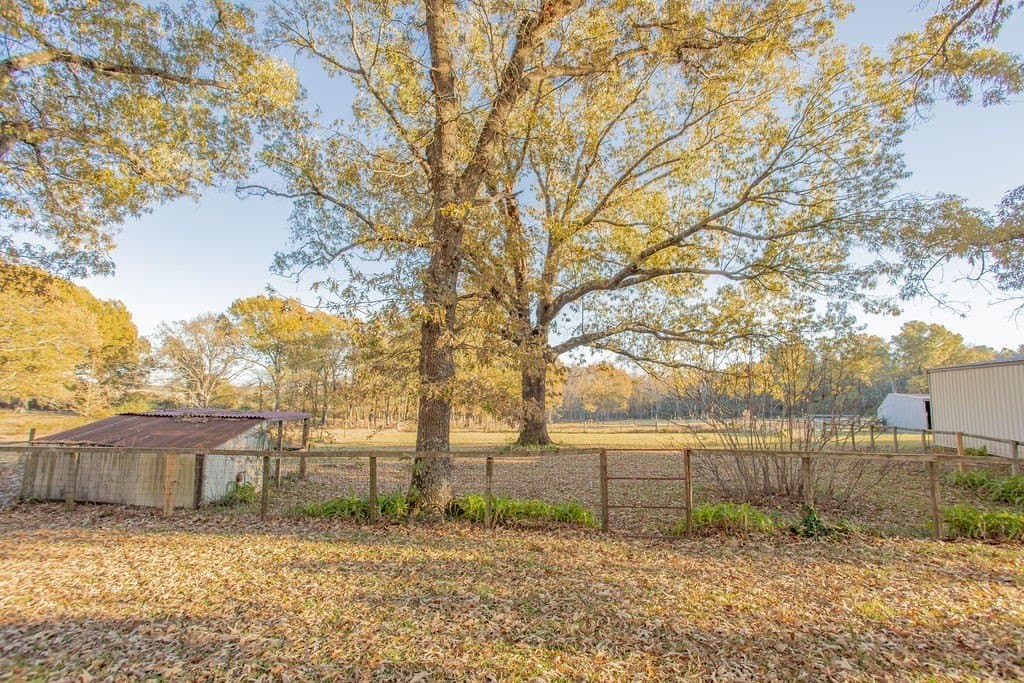 19.55 acres in Smith County - photo 10