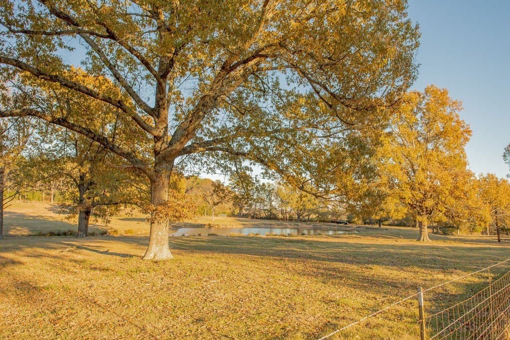 19.55 acres in Smith County - photo 40