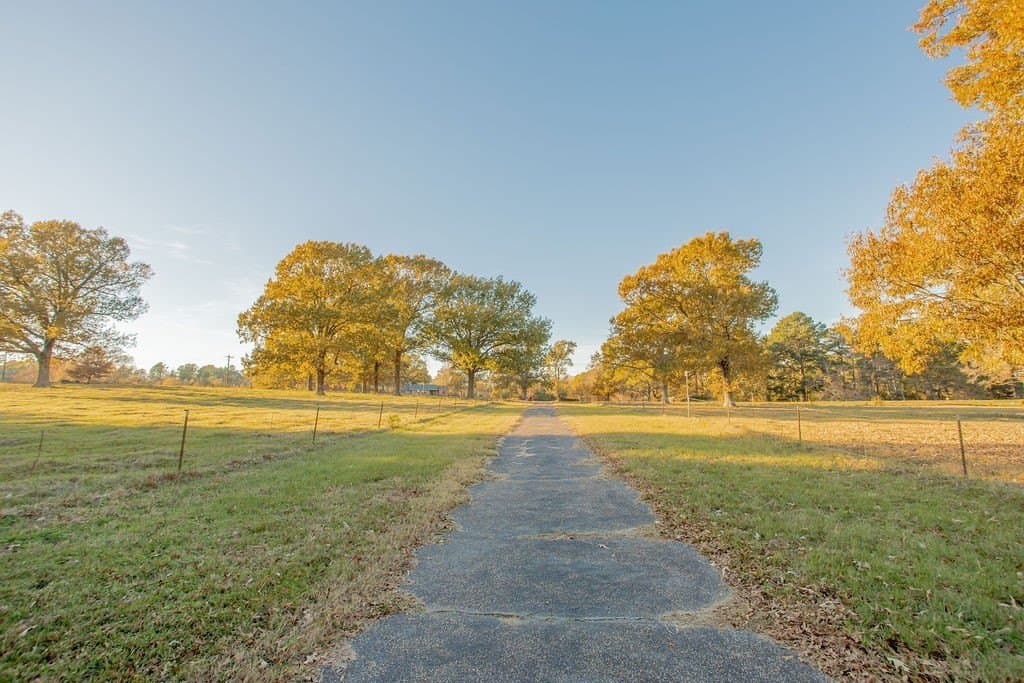 19.55 acres in Smith County - photo 37